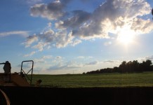 CAUV can save you on taxes, as long as you follow the rule farmland