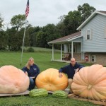 Blog: Giant pumpkins are a labor of love for the Moshers