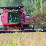 The grain harvest rally is on… for now