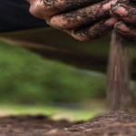 How to build a compost bin for backyard recycling compost