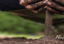 How to build a compost bin for backyard recycling compost