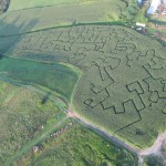 Jewett farm builds corn maze to raise money