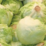 Robot-run lettuce farm in the works in Japan heads of lettuce