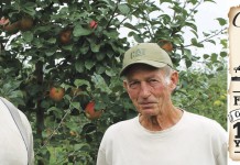 They grow ‘sweet fruit and sour people’