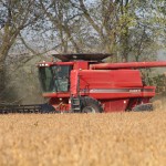 Harvest still in early stages, but progress being made