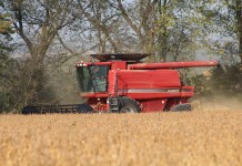 Harvest still in early stages, but progress being made