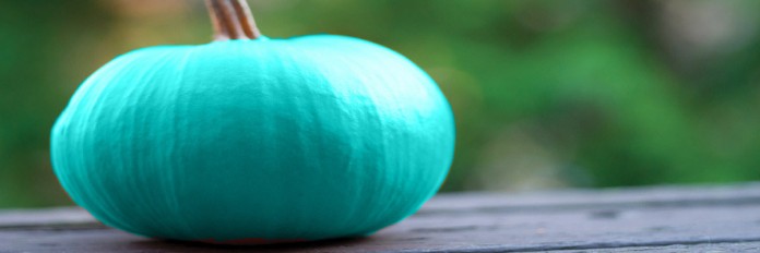 teal pumpkin teal pumpkin