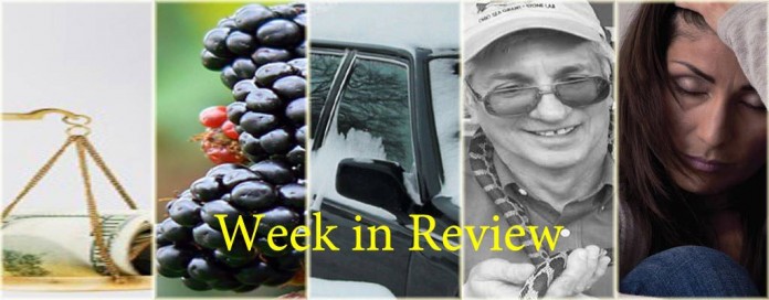 Week in Review 10/18