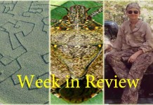 Farm and Dairy’s week in review: 10/11 Week In Review 10/11