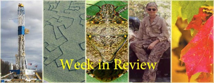 Week In Review 10/11 Week In Review 10/11