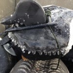 Polar vortex, 1; not-to-be-intimidated duck hunters, 0