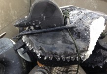 Polar vortex, 1; not-to-be-intimidated duck hunters, 0