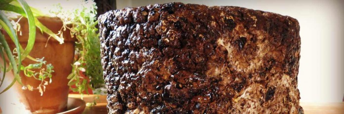 Shiitake block mushroom