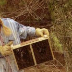 Who wants to be a beekeeper? Plan spring hives now beekeeping