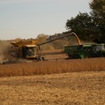 USDA reports yield just a murmur on grain markets Soybean harvest