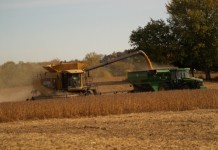 Farmers’ survival challenged by circumstances outside their control Soybean harvest