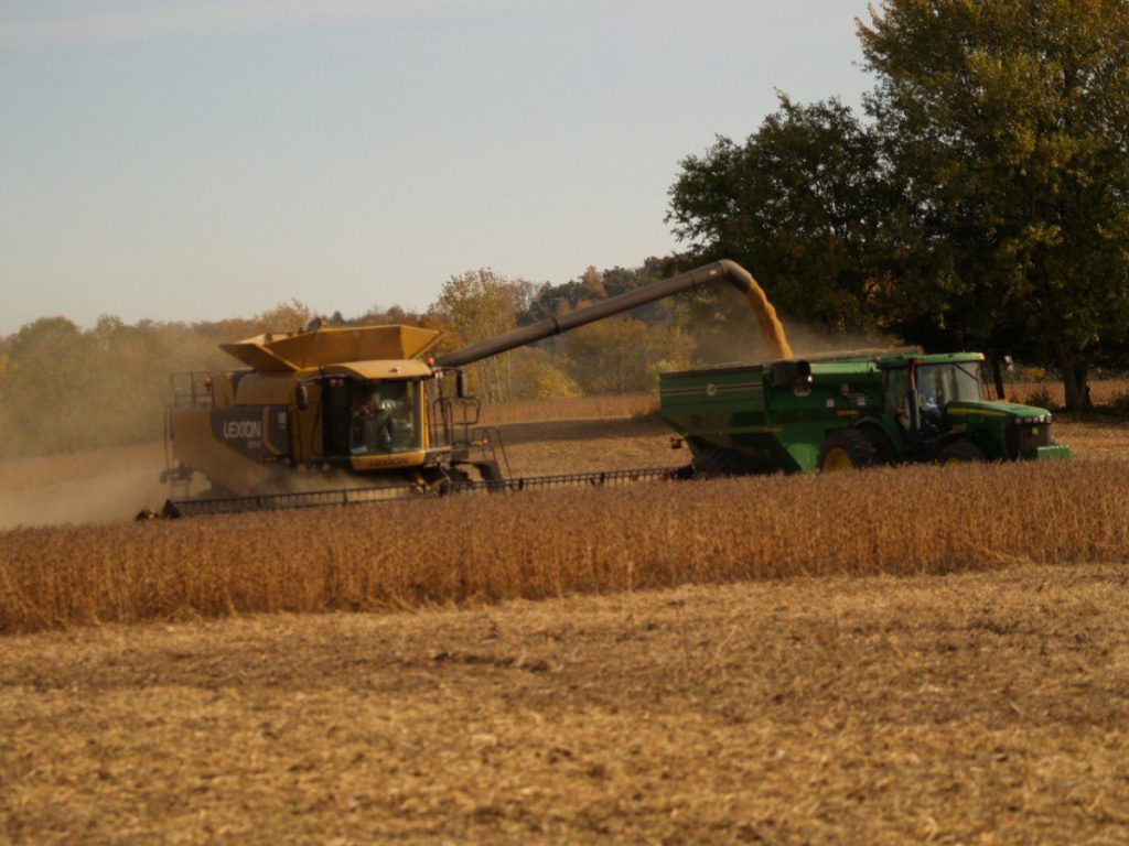 Soybean harvest