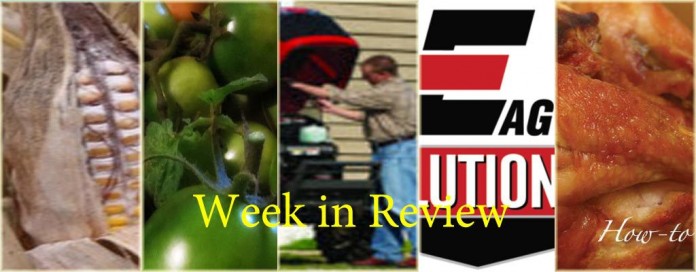 Week in Review 11/8 Week in Review 11/8