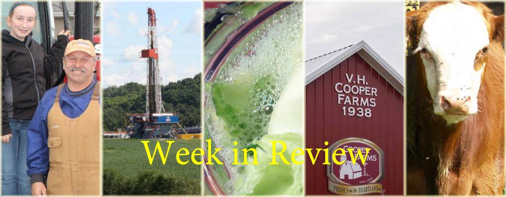 Week in Review 11/15