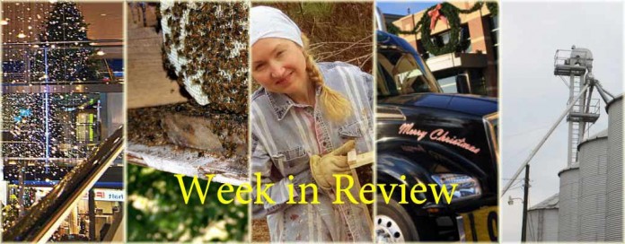 Week in Review 11/22 Week in Review 11/22