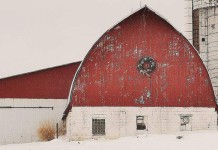 Christmas on the farm (Photos) Barn decorated for Christmas