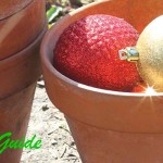 Top 10 gifts for gardeners Christmas bulbs in garden pots