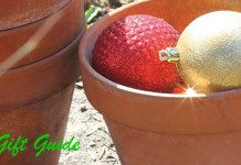 Top 10 gifts for gardeners Christmas bulbs in garden pots