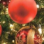 Recycle your Christmas tree after the holidays Christmas tree