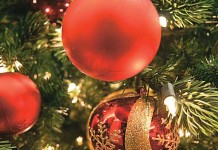 Recycle your Christmas tree after the holidays Christmas tree