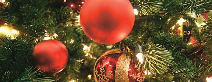 Christmas tree Christmas tree