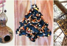Winter is for the birds DIY bird projects for winter