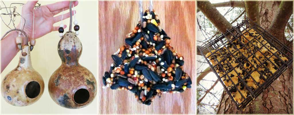 DIY bird projects for winter