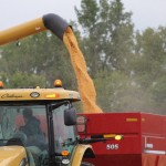 Despite coronavirus hysteria, better days are ahead in grain markets grain dump