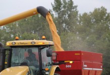 Huge harvest keeping prices down grain dump