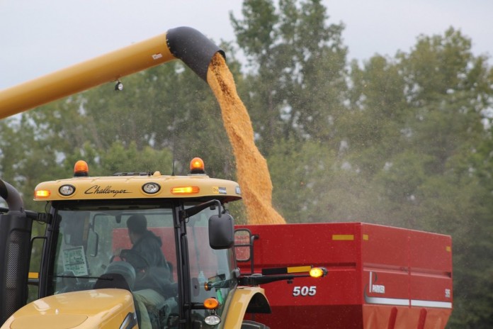 Grain dumping grain dump