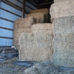 Vacant farm buildings can hold value
