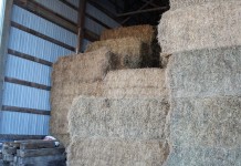 Vacant farm buildings can hold value