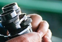 Christmas Bird Count underway across the Americas binoculars