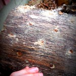 diamond drill pattern