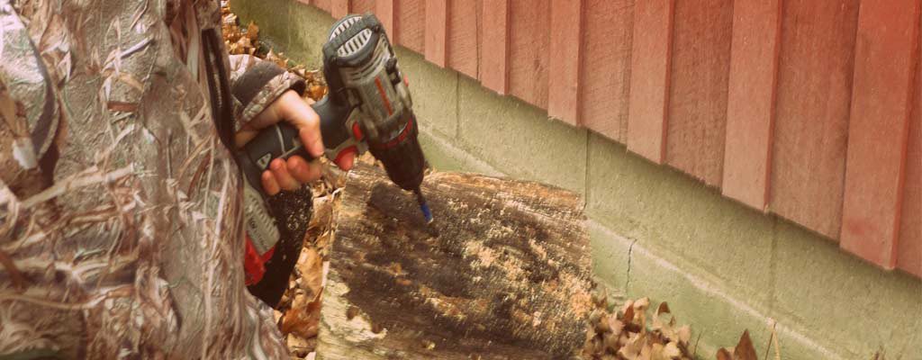 Drilling holes for growing mushrooms