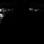 Jake: More than a dog, he was a buddy Tontimonia-Jake