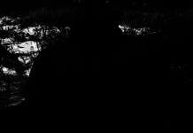 Jake: More than a dog, he was a buddy Tontimonia-Jake