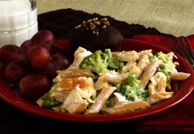 Chicken Alfredo Pasta