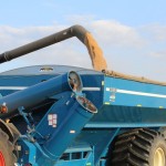 Recent grain market mystery solved