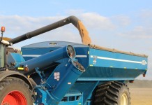 Recent grain market mystery solved