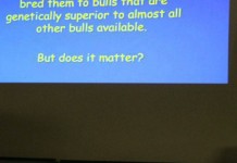 Dairy graziers challenged to keep eye on genetics grazing conference