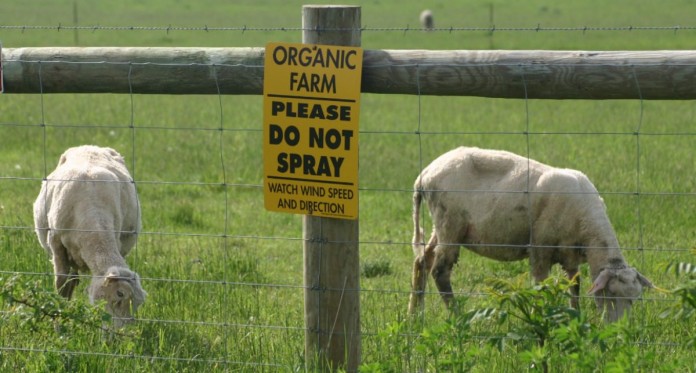 organic farm signEDIT2