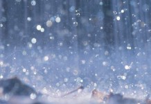 Rains in the Plains and Argentina affecting markets rain