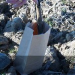 How to test your garden’s soil soil sample