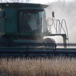January USDA reports move grain markets soybeans